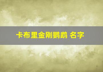 卡布里金刚鹦鹉 名字